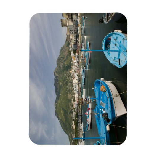 ITALIË, Campanië (Baai van Napels), ISCHIA, FORIO: Magneet (Verticaal)
