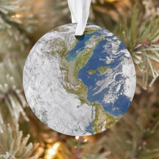 Italie Et Mer Adriatique. (Arbre)