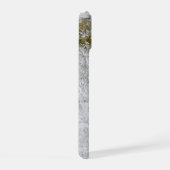 Italie Et Mer Adriatique. (Côté droit)