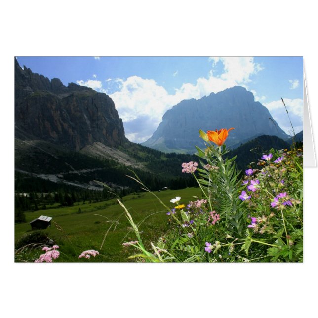 ITALIE : Fleurs sauvages, Dolomites (Devant Horizontal)