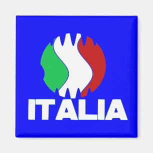 Italie Italia WC 2010 Fridge Magnet