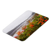 Italië Park | Minnesota Magneet (Linkerzijde)