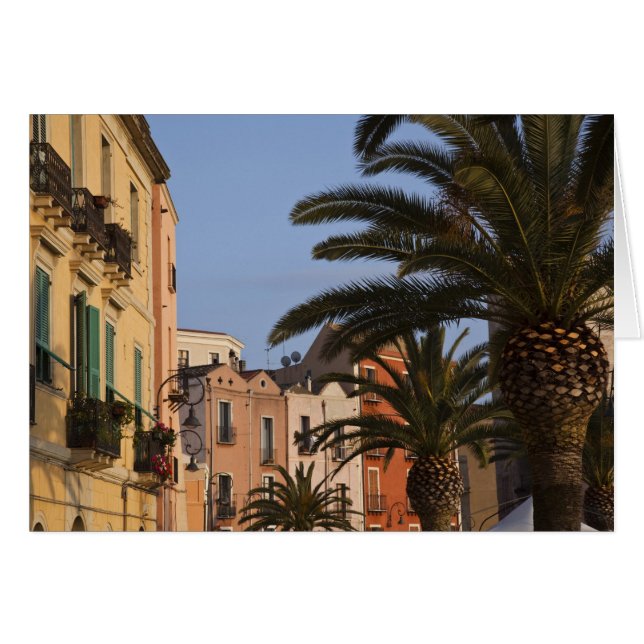 Italie, Sardaigne, Cagliari. Bâtiments et palmiers (Devant horizontal)