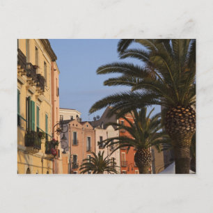 Italië, Sardinië, Cagliari. Gebouwen en palmen Briefkaart