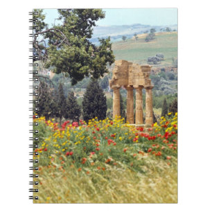 Italië, Sicilië, Agrigento. De ruïnes van de Notitieboek