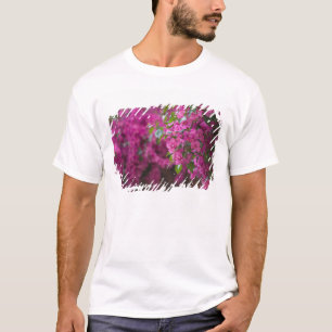 Italië, Sicilië, Cefalu, Flowered Courtyard door T-shirt