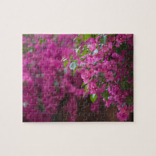 Italië, Sicilië, Cefalu, Gebloemde binnenplaats do Legpuzzel