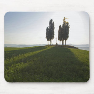 Italië, Toscane, Cypress Trees in Toscane met Muismat