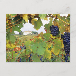 Italië, Toscane Farmhouse bekeken door Briefkaart