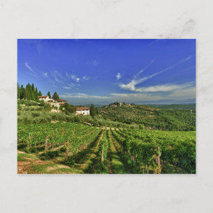 Italië, Toscane, Greve. De wijngaarden van Castell Briefkaart