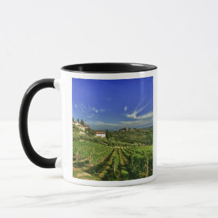 Italië, Toscane, Greve. De wijngaarden van Castell Mok