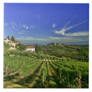 Italië, Toscane, Greve. De wijngaarden van Castell Tegeltje