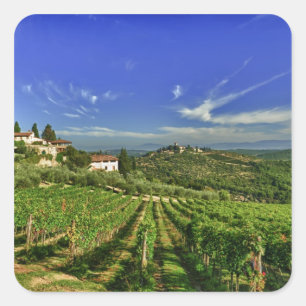 Italië, Toscane, Greve. De wijngaarden van Castell Vierkante Sticker
