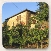 Italië, Toscane, Greve. Wijnscènes in de late zome