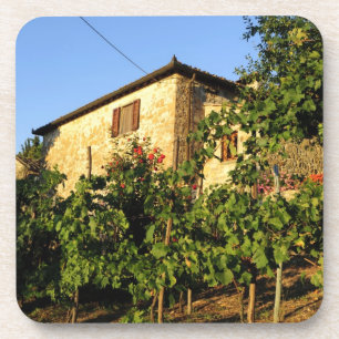 Italië, Toscane, Greve. Wijnscènes in de late zome Onderzetter