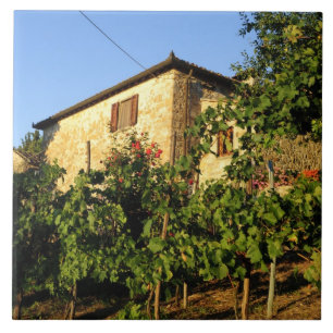 Italië, Toscane, Greve. Wijnscènes uit Toscane in  Tegeltje