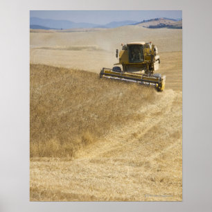 Italië. Toscane. Montalcino 4 Poster
