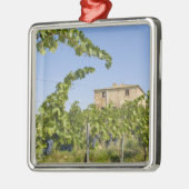 Italië, Toscane, Montepulciano. Wijndruiven gereed Metalen Ornament (Links)
