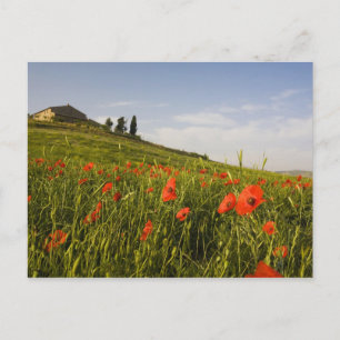 Italië, Toscane, Toscaanse Villa in de Lente Met Briefkaart