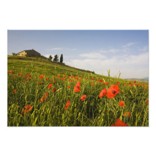 Italië, Toscane, Toscaanse villa in het voorjaar m Foto Afdruk