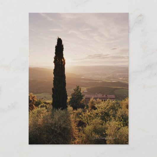 Italië, Toscane, Val d'Orcia, Montalcino Briefkaart (Voorkant)