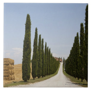Italië. Toscane. Val D'Orcia (Orcia Valley) 3 Tegeltje