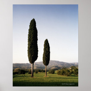 Italië, Toscane, Val d'Orcia Poster