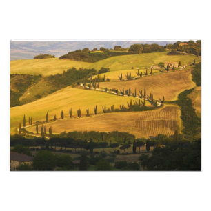 Italië, Toscane, ZigZag Road in Toscane. Foto Afdruk