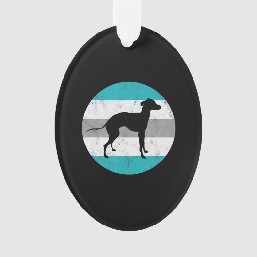italien greyhound (devant)