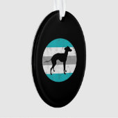 italien greyhound (devant)