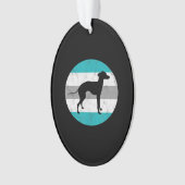 italien greyhound (devant)