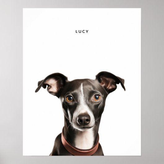 Italien Greyhound Impression personnalisée (Devant)