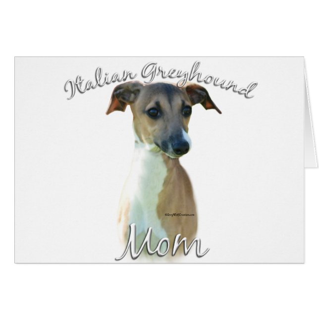 Italien Greyhound Maman 2 (Devant horizontal)