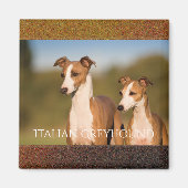 Italien Greyhounds Magnet (Devant)