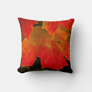 Itasca State Park, herfstkleuren 2 Kussen