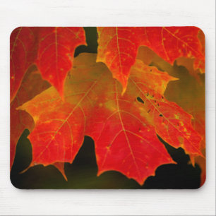 Itasca State Park, herfstkleuren 2 Muismat