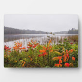 Itasca State Park | Minnesota Fotoplaat (voorkant)