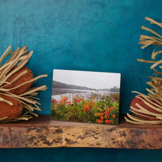 Itasca State Park | Minnesota Fotoplaat (Zijkant)