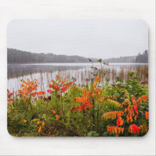 Itasca State Park Minnesota Muismat