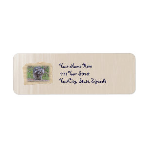 Itchin' & Scratchin' Raccoon Etiket