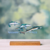 Ito, Chiba, est le site de plongée avec les requin (Neutre)