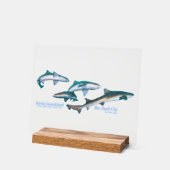 Ito, Chiba, is the most popular shark diving spot (Angle)