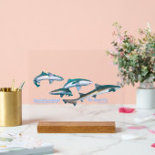 Ito, Chiba, is the most popular shark diving spot (Mariage)