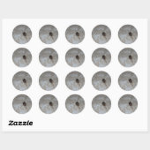 Itsy Bitsy Spider #3 Ronde Sticker (Vel)