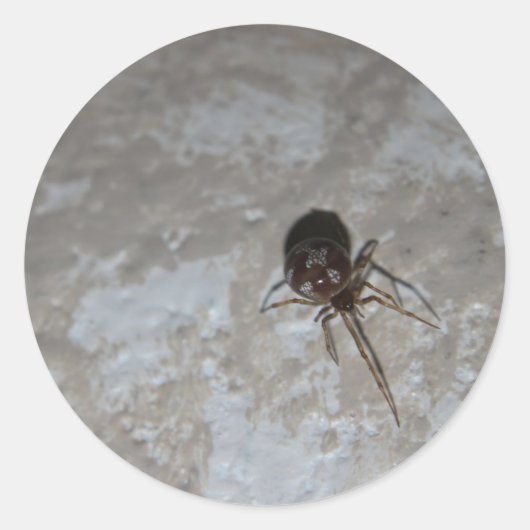 Itsy Bitsy Spider #3 Ronde Sticker (Voorkant)