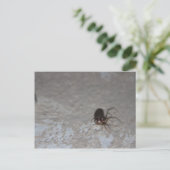 Itsy Bitsy Spider Briefkaart (Staand voorkant)