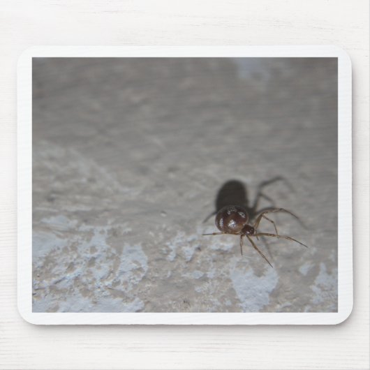Itsy Bitsy Spider Muismat (Voorkant)