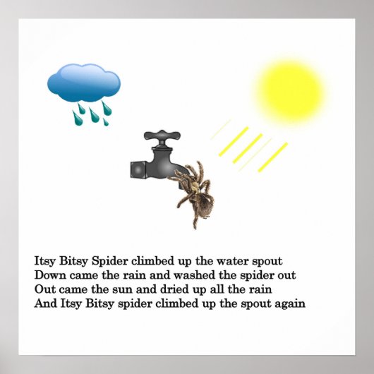 Itsy Bitsy Spider Poster (Voorkant)