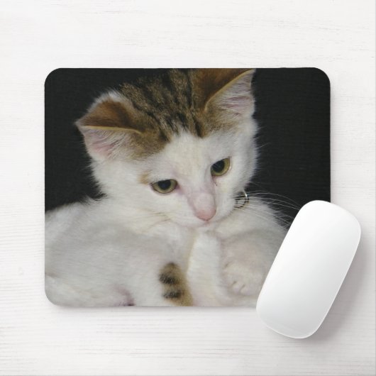 ITTY BITTY KAT ALL IN WHITE MUISMAT (Met muis)