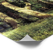 Ivan Shishkin- Oak Grove Poster (Hoek)